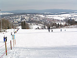 Bayerischer Wald